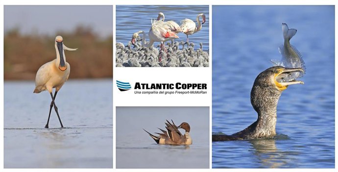 Imagénes ganadoras en un concurso fotográfico a nivel internacional de Atlantic Copper.