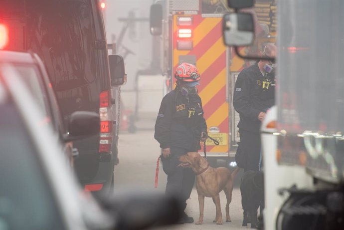 25 June 2021, US, Surfside: Firefighters and search dog work at the site of the collapsed Champlain Towers South Condo in Surfside, where 4 were killed and over 100 missing. Photo: Orit Ben-Ezzer/ZUMA Wire/dpa