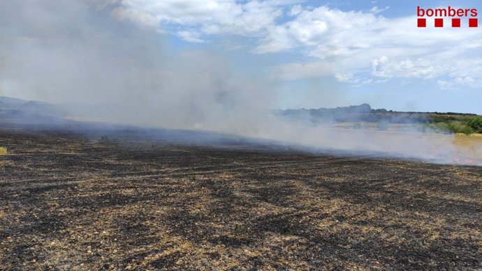 Un incendi a Vila-rodona (Tarragona)