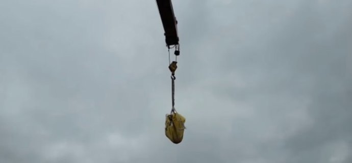 Rescate de tortuga en Gijón