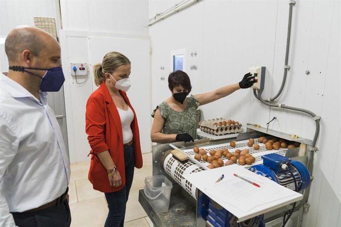 Almería.- Diputación.- El PFEA crea más de 4.100 jornales y moderniza las infraestructuras de Turre, Bédar y Zurgena