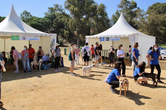 I Feria de adopción de mascotas 'Huelva Protege'