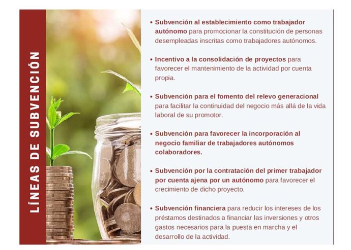 Programa para el Fomento y Consolidación del Empleo Autónomo.