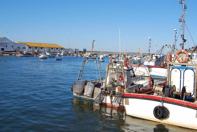 Archivo - Puerto pesquero de Isla Cristina (Huelva)