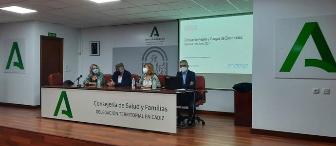 La delegada territorial de Salud y Familias en Cádiz, Isabel Paredes, durante la jornada informativa sobre los cambios en la factura de la luz.