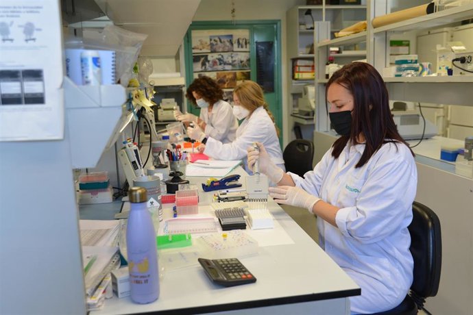 Varias de las investigadoras que trabajan en el programa de investigación para la prevención del cáncer hereditario en el Instituto de Biología y Genética Molecular (IBGM) de la Universidad de Valladolid (UVA).