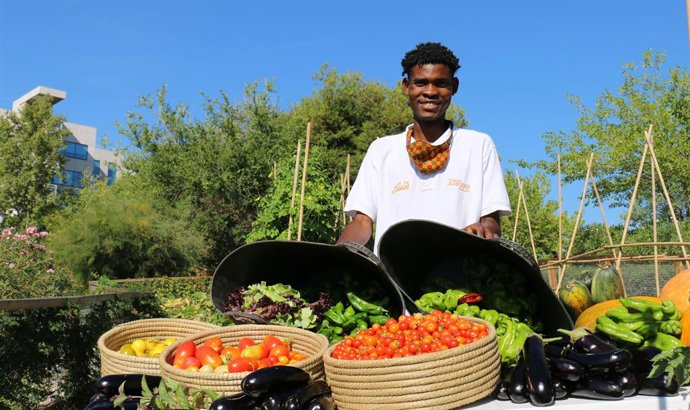 Huerto urbano instalado en una de las oficinas de Merlin Properties.