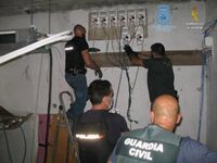 Tres detenidos con un cultivo de 600 plantas de marihuana en una vivienda de Los Molares (Sevilla)