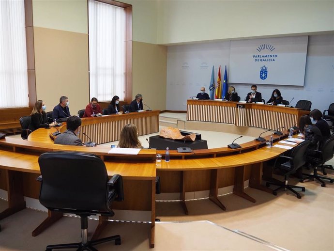 Foto de archivo de la comisión de reactivación del Parlamento gallego