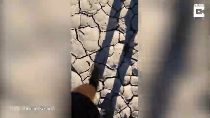 El ruido de este hombre al pisar las placas de arcilla agrietadas de un salar de Namibia es extrañamente satisfactorio