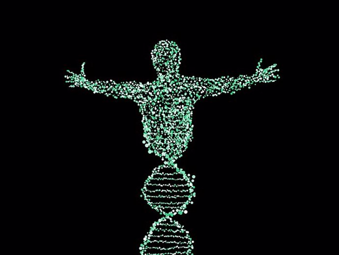Archivo - ADN, genética, cromosomas