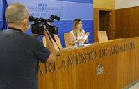 PSOE-A reafirma su "preocupación" por la incidencia de Covid en Andalucía y pregunta por el plan de verano de la Junta