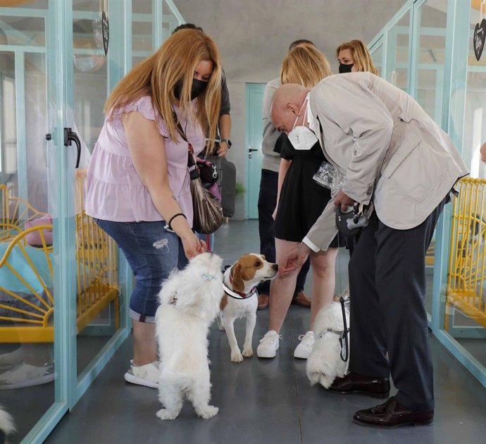 El consejero de Agricultura y Ganadería visita el hotel canino-felino de Palazuelo de Vedija