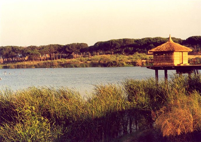 Laguna Primera de Palos.