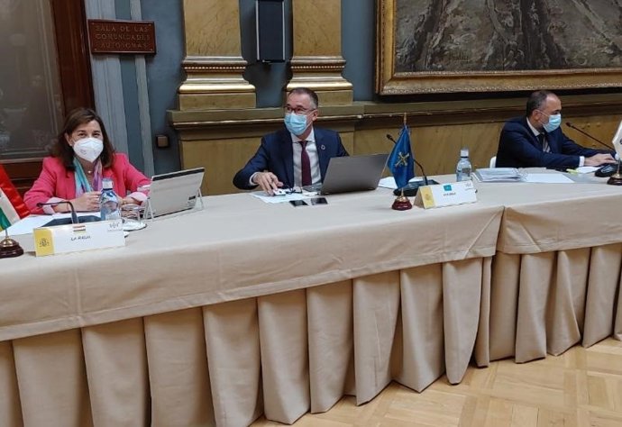 La consejera de SAlud, Sara Alba, en el Consejo Interterritorial de Salud