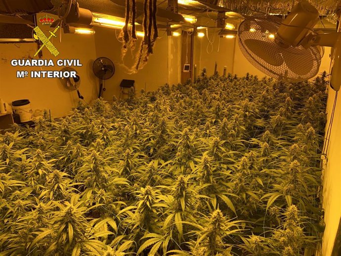 Puntos de venta de marihuana en La Puebla de Montalbán.