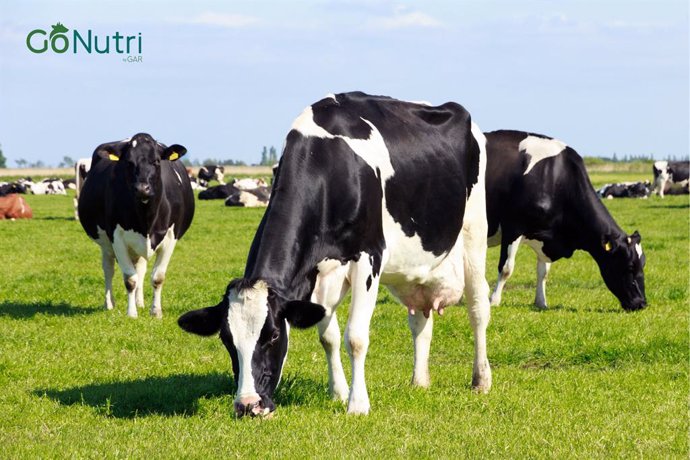 GoNutri is a brand helping farmers with animal nutrition through livestock feed supplements produced from sustainably-sourced palm and palm kernel oil.