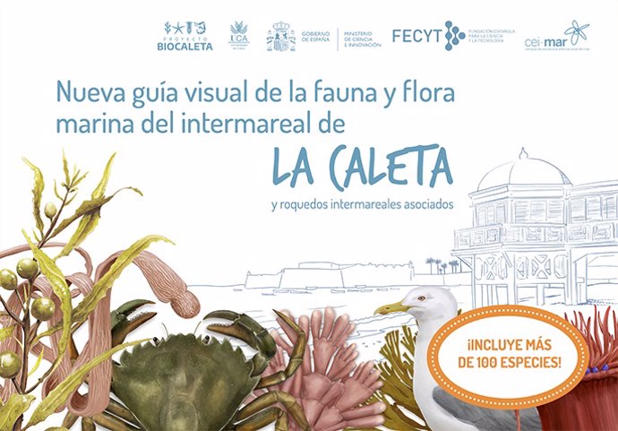 Guía de la flora y fauna de La Caleta