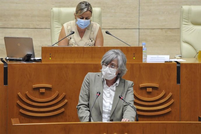 La consejera de Movilidad, Transporte y Vivienda, Leire Iglesias, en el Pleno de la Asamblea.