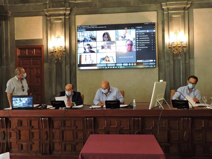 Pleno del Consejo Económico y Social de la Provincia de Sevilla