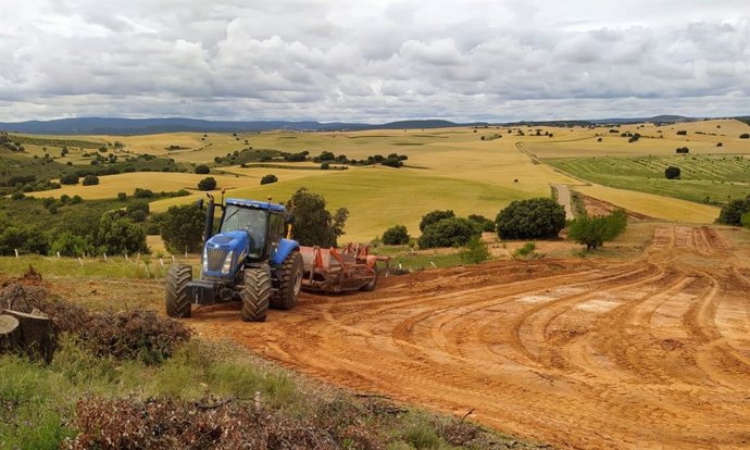 La DPZ comienza las obras de acondicionamiento de la carretera provincial que conecta Cetina y Calmarza.