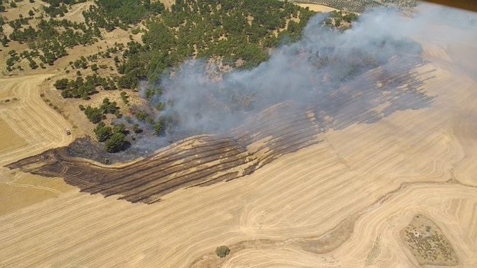 Incendio declarado este miécoles en Campillos