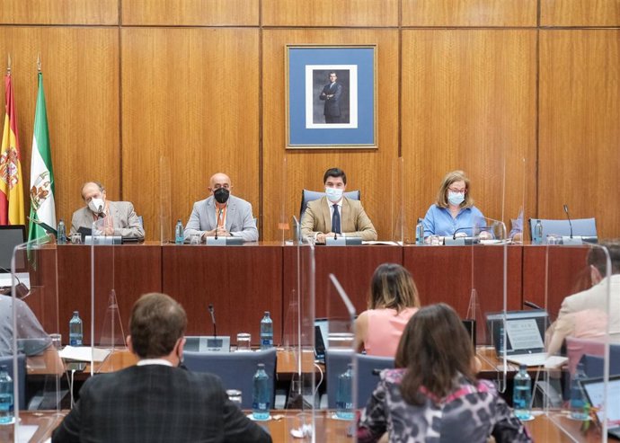 El secretario de Organización y Finanzas de CCOO Andalucía, José Venerando Blanco, este jueves, durante su comparecencia en la comisión de la Faffe.