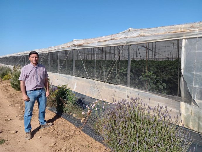 Aurelio Samper, agricultor del Campo de Cartagena