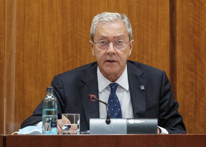 El consejero de Transformación Económica, Rogelio Velasco, este viernes durante su comparecencia parlamentaria en comisión.