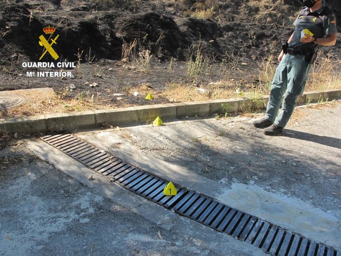 La Guardia Civil investiga las causas de un incendio forestal.