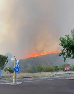 Incendio forestal en Jalance (Valencia)