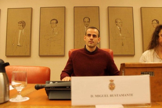 El diputado de Unidas Podemos por la provincia de Sevilla en el Congreso de los Diputados, Miguel Ángel Bustamante