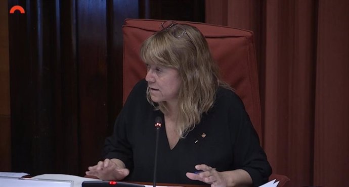 La consellera Natlia Garriga, en su comparecencia en el Parlament