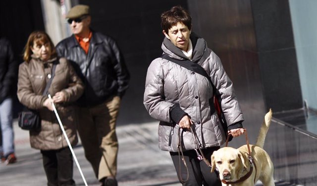 Archivo - Discapacidad, discapacitado, ciego, personas ciegas con perro guía, lazarillo