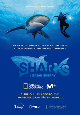 Cartel de la exposición 'Sharks by Brian Skerry" en el edificio de Telefónica en la Gran Vía de Madrid