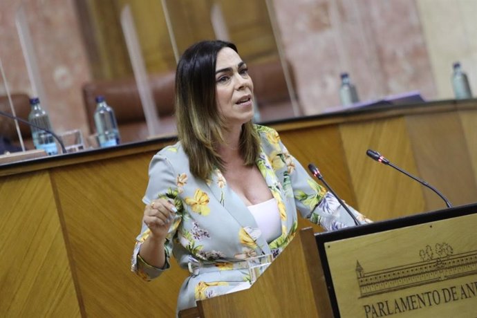 La diputada de Cs, Teresa Pardo, en una imagen de archivo en el Pleno del Parlamento. 