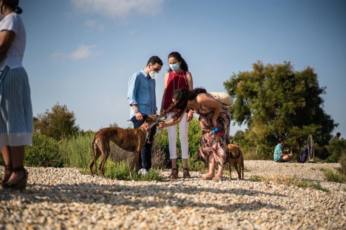 Perros en la playa canina de Almería.