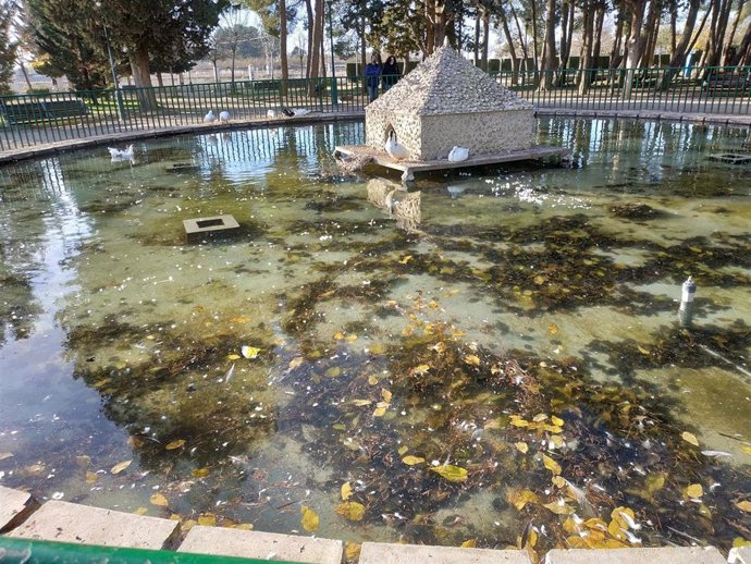 Patos en parques de Albacete.