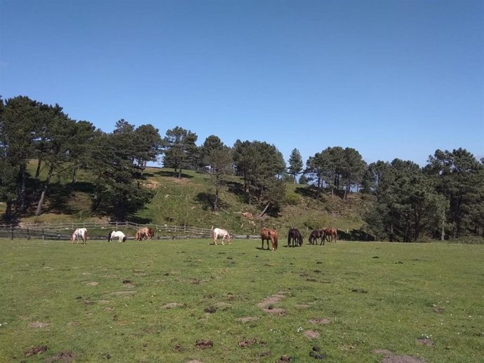 Cielos despejados en Euskadi (archivo).