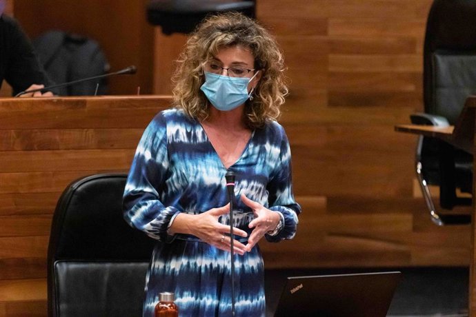 La portavoz de Ciudadanos en la Junta General, Susana Fernández.