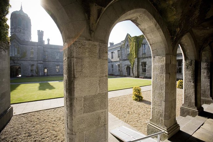 National University of Ireland Galway to conduct clinical trial with SINOMED on the HT Supreme Healing-Targeted Drug-Eluting Stent.