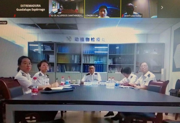 Autoridades chinas en una auditoría por videoconferencia sobre la campaña extremeña de exportaciones de melocotón y ciruela