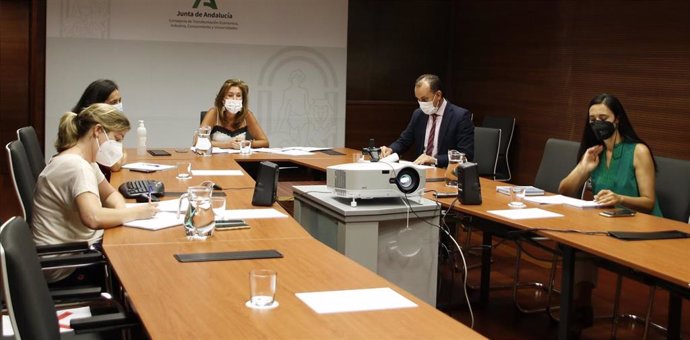 El consorcio para el impulso del IFMIF-DONES en Granada arranca con la primera reunión de su Consejo Rector