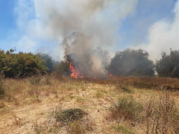 Imagen del incendio declarado en Almonte (Huelva).