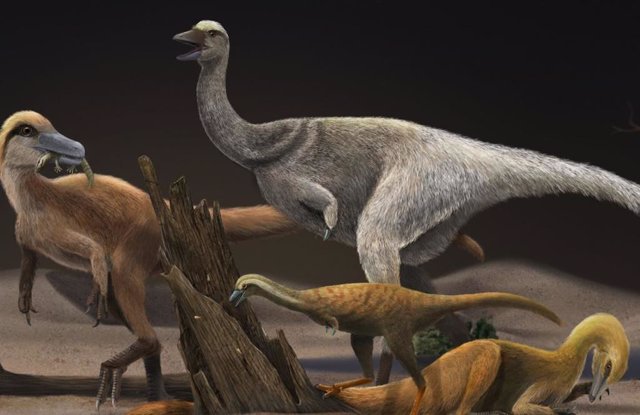 Reconstrucción de cuatro alvarezsaurios: Haplocheirus sollers (izqda), Patagonykus puertai (parte superior media), Linhenykus monodactylus (parte inferior media) y Bannykus wulatensis (parte inferior derecha), que ilustra tamaño corporal y cambio de dieta