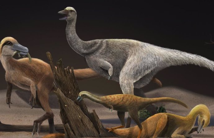 Reconstrucción de cuatro alvarezsaurios: Haplocheirus sollers (izqda), Patagonykus puertai (parte superior media), Linhenykus monodactylus (parte inferior media) y Bannykus wulatensis (parte inferior derecha), que ilustra tamaño corporal y cambio de die