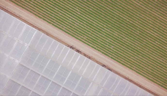 Cultivos de invernadero en el Campo de Cartagena