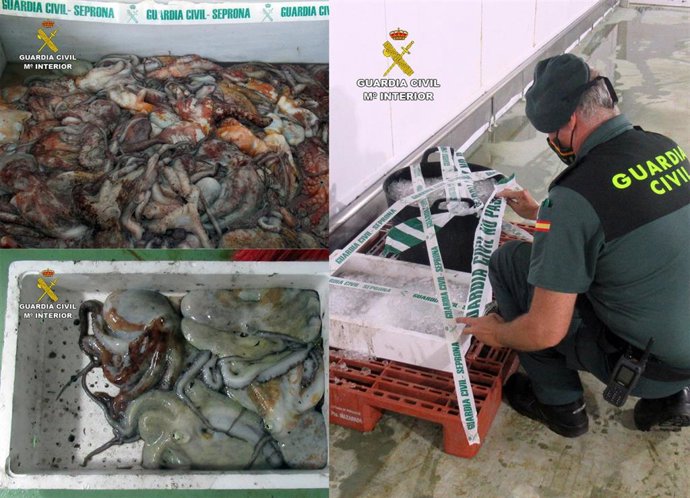 Imaégens de la intervención de la Guardia Civil para interceptar el cargamento de pulpo