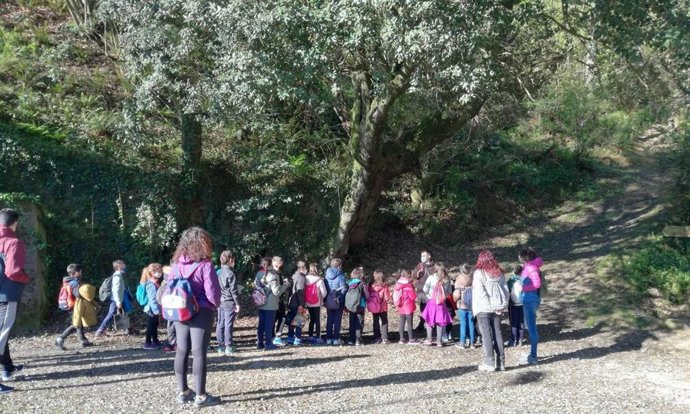 Huerto de Larrazabal y bosque mixto en Barakaldo