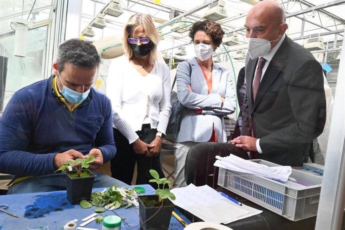 Carnero visita una de las investigaciones del Itacyl con motivo de la presentación del Plan Estratégico 2021-2027